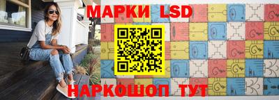 гидра Заводоуковск