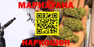 гидра Заводоуковск