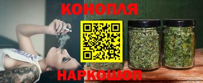 гидра Заводоуковск