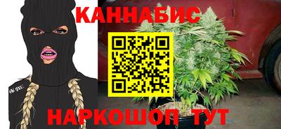 гидра Заводоуковск