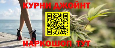 гидра Заводоуковск