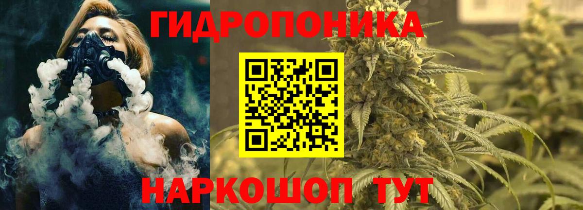 Шишки марихуана ГИДРОПОН  Бошки Шишки марихуана  Луховицы  Вход с VPN  Шишки марихуана OG Kush  Шишки марихуана конопля 
